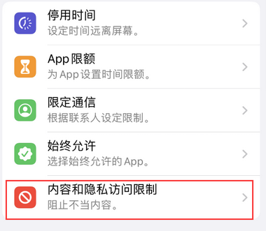 保城镇appleID维修服务iPhone设置中Apple ID显示为灰色无法使用