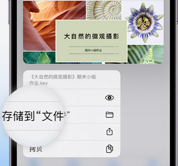 保城镇apple维修中心分享iPhone文件应用中存储和找到下载文件