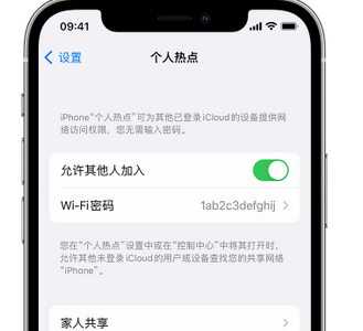 保城镇apple服务站点分享iPhone上个人热点丢失了怎么办 