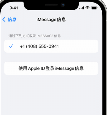 保城镇apple维修iPhone上无法正常发送iMessage信息 