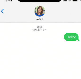 保城镇apple维修iPhone上无法正常发送iMessage信息