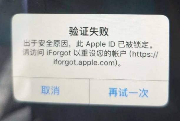 保城镇iPhone维修分享iPhone上正常登录或使用AppleID怎么办 