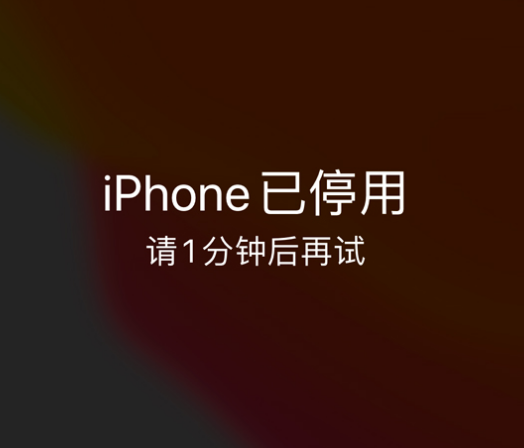 保城镇苹果手机维修分享:iPhone 显示“不可用”或“已停用”怎么办？还能保留数据吗？ 