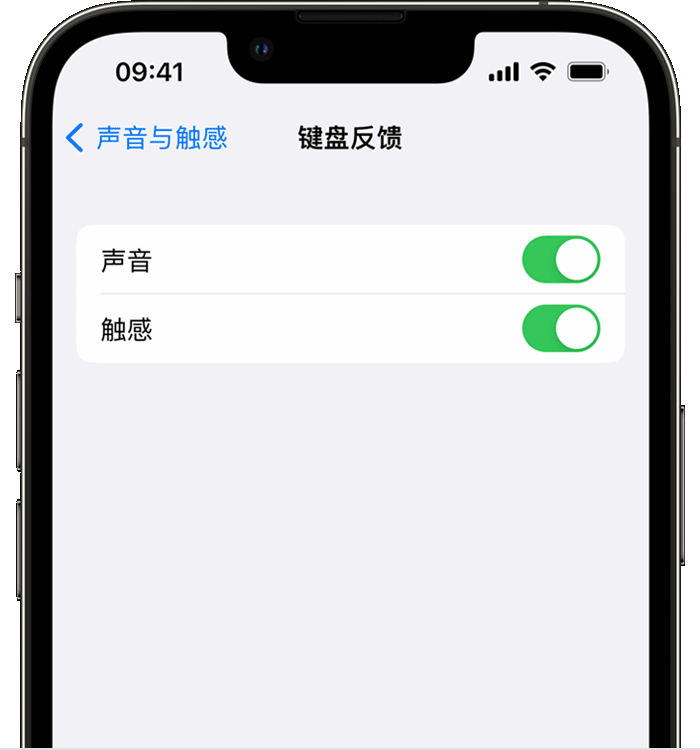 保城镇苹果14维修店分享如何在 iPhone 14 机型中使用触感键盘 