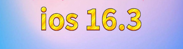 保城镇苹果服务网点分享苹果iOS16.3升级反馈汇总 