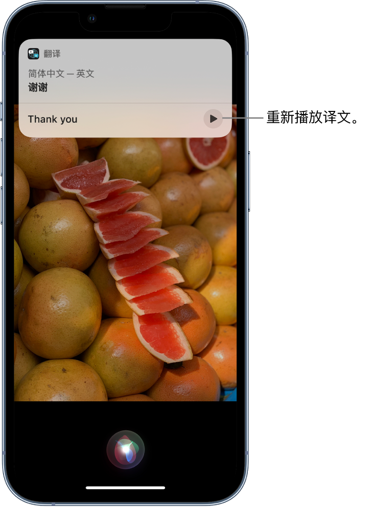 保城镇苹果14维修分享 iPhone 14 机型中使用 Siri：了解 Siri 能帮你做什么 