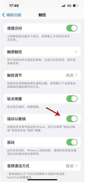 保城镇苹果手机维修分享iPhone手机如何设置摇一摇删除文字 