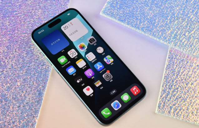 保城镇苹果手机维修分享为什么大家不喜欢苹果iPhone 16 Plus 